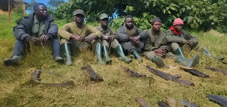 InShot_20260410_134453787